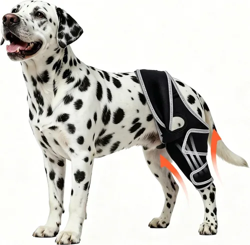 Vista 10 de Rodillera para perro para pierna trasera desgarrada del ACL, para Negro