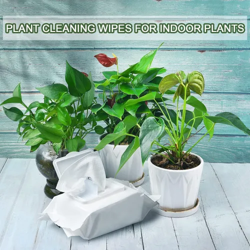 Vista 4 de Leopong Toallitas de limpieza de plantas, limpiador de hojas para plantas de interior, 80 toallitas