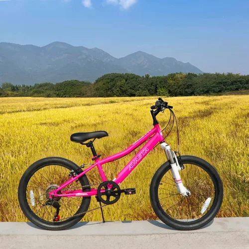 Vista 4 de AVASTA Govet - Bicicleta de montaña para niños de 6 a 12 años de edad, con horquilla de suspensión, transmisión de 6 velocidades, varios