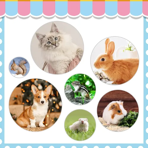 Vista 8 de KALAMANDA - Kit de aseo para conejo, cepillo para quitar uñas con cortaúñas de conejo, recortadores de uñas de conejo con peines para mascotas