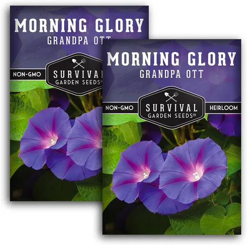 Vista 10 de Survival Garden Seeds - Grandpa OTT Morning Glory Seed para plantar - Paquete con instrucciones para plantar y cultivar Ipomoea Purpurea