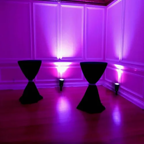 Vista 6 de Efavormart - Telón de fondo LED morado de 6 W, impermeable, para exteriores, con pico de tierra, para recepciones humildes y fiestas temáticas