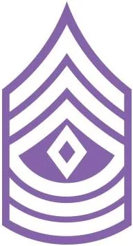 Vista 12 de E-8 Primer corte sargento Rank US Army – Adhesivo – Die 1sg or-8, Azul