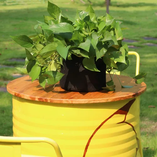 Vista 4 de Gardzen - 20 bolsas de cultivo con asas de 1 a 10 galones de tela