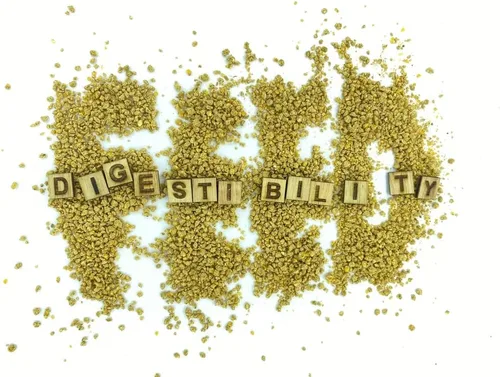Vista 4 de CZ Grain Alimento prémium para carnes - Formulado para alta energía y crecimiento corporal (10 libras)