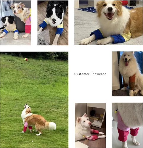 Vista 5 de Mangas protectoras impermeables para codo de perro para patas delanteras Marrón y borgoña
