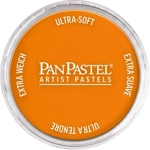 Vista 62 de PanPastel Pastel ultra suave para artista, sombra de Siena quemada
