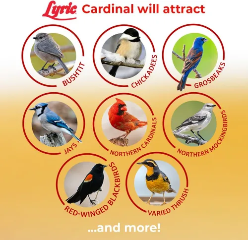 Vista 5 de Lyric Cardinal - Semillas de aves silvestres para comederos exteriores – Mezcla de semillas de girasol y cártamo prémium para cardenales, picos