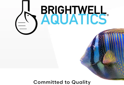 Vista 8 de Brightwell Aquatics ReefBlizzard-A Planctonic Protein Marine Blend 3.53 oz