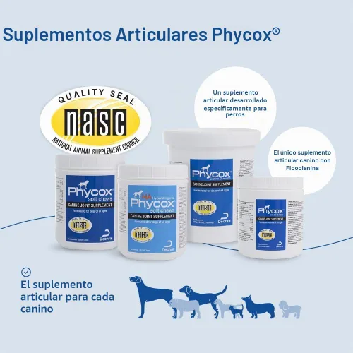 Vista 9 de Phycox® Suplemento para articulaciones masticables suaves para perros, 60 masticables