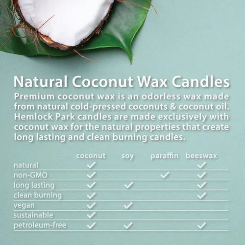 Vista 5 de Vela de mecha de madera agrietada Hemlock Park hecha a mano con cera de coco natural (grande de 16 oz, ámbar) Coconut Apricot Wax Crackling Wood