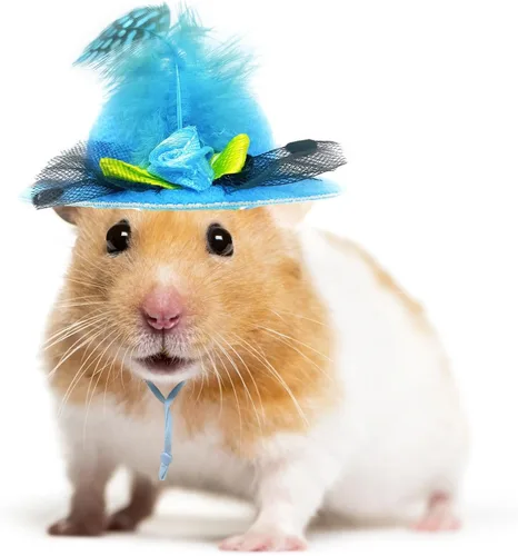 Vista 4 de 6 piezas de sombreros de pollo, sombreros para muñecas, ropa para osos, ropa para peluches, cascos de pollo
