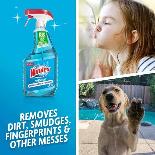Vista 3 de Windex Spray limpiador de vidrio y ventanas, botella hecha de plástico 100% reciclado, espray de limpieza de superficies, aroma azul original, 23