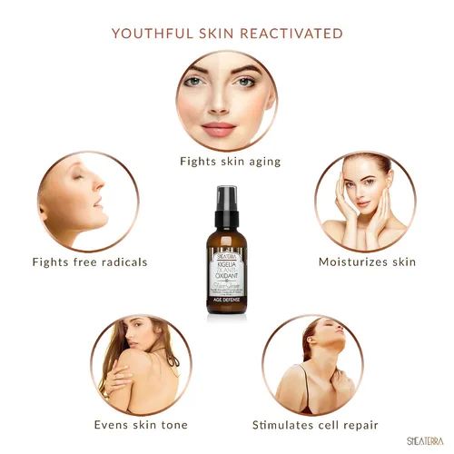 Vista 3 de Shea Terra Kigelia Age Defense Collection - Suero facial antioxidante Suero facial natural antienvejecimiento con antioxidantes que hidratan