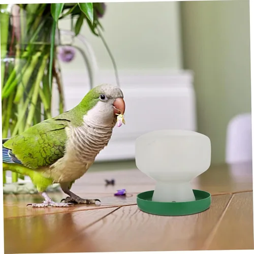 Vista 7 de Chinchilla - Plato de comida 2 piezas, bebedor de palomas, taza de alimentación de pájaros, bebederos de codorniz, comedero para pájaros pequeños