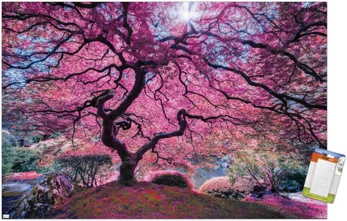 Vista 12 de Trends International Póster de pared Pink Tree 2 de Moises Levy, 22.4 pulgadas de largo x 14.7 pulgadas, versión enmarcada en madera de granero