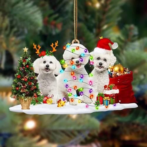 Vista 82 de Nazenti Adorno de Navidad personalizado con amigos Affenpinscher – Adorno de perro personalizado para amantes de las mascotas, acrílico plano