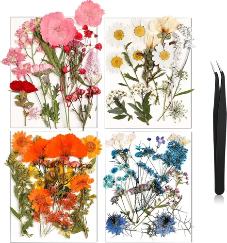 Vista 24 de Nuanchu Flores secas prensadas negras para manualidades, flores secas góticas, flores silvestres prensadas naturales a granel con pinzas para molde
