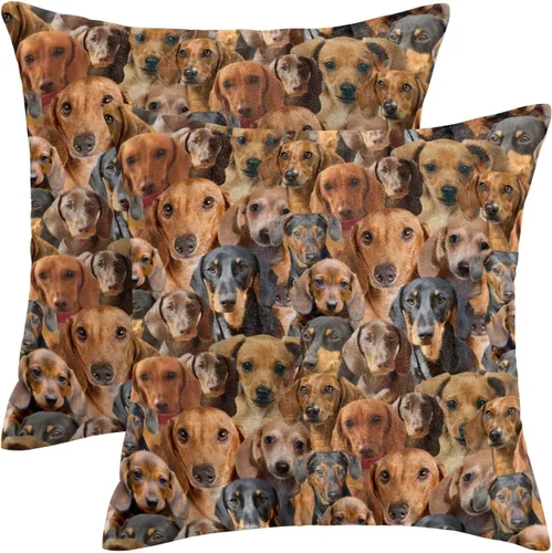 Vista 7 de Regalo para amantes de Airedale Terrier, 2 fundas de almohada de Bingley Terrier, fundas de almohada con estampado de cara de perro, fundas