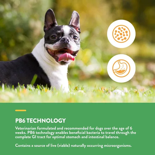 Vista 5 de NaturVet Probióticos y enzimas avanzados - Apoya y equilibra a las mascotas con estómagos sensibles - 240 unidades y suplemento todo en uno