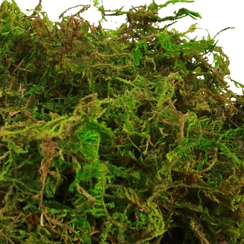 Vista 3 de Musgo artificial verde de 35 onzas (2.18 libras) para manualidades de interior, jardines de hadas, centros de mesa, decoración de boda