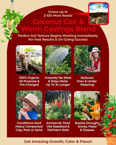 Vista 5 de Suelo de maceta orgánico comprimido para jardín, plantas y vegetales - Se expande 4 veces cuando se mezcla con agua - Uso en interiores o exteriores