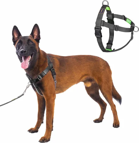 Vista 15 de Freedom - Arnés para perro sin tirones, fácil de caminar, deja de tirar con dos anillos en D de acero inoxidable, cómodo, etiquetas de instrucciones