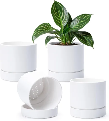 Vista 20 de Phoenix Vine 4 Inch Planter Pot with Drainage Hole & Saucer, Deep Water Catch Tray, Straight Cylindrical Round Pot for Plants, Olive, Pack of 1