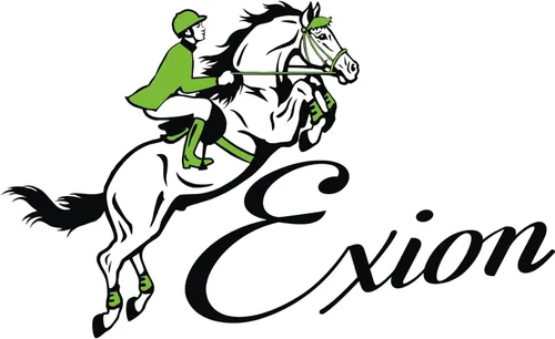 Vista 5 de Exion Dressage Brid: forro suave, forma anatómica y costuras de diseñador en banda de cejas y banda nasal viene con riendas de tela equipadas con un