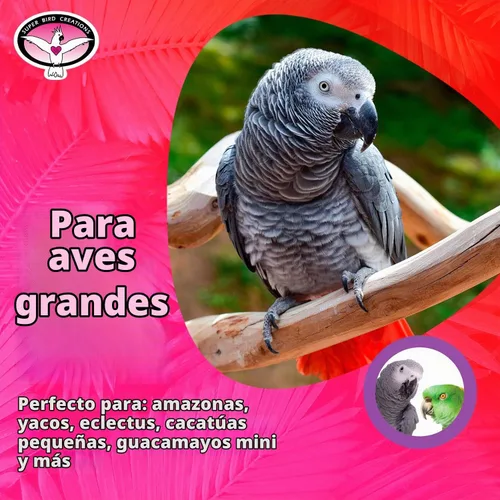 Vista 3 de Super Bird Creations SB1107 Bagel Cascade Bird juguete, tamaño grande, bagels recargables, 15 "x 4.5