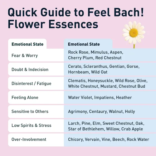 Vista 5 de Feel Bach! Flower Essence cuentagotas ciruela cereza, 0.7 fl oz, 0.7 fl oz