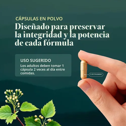 Vista 6 de Gaia Herbs Fitocápsulas líquidas de baya de sauco negro, 60 unidades., 751063400602, 60, 1, 1