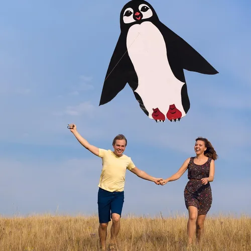 Vista 2 de Hengda Kite Cometa de pingüino, cometas de animales para niños y adultos