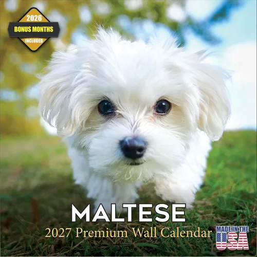 Vista 95 de Calendario de Lebrel Afgano 2025 2026, calendario mensual de pared de raza canina, 12" x 18" abierto, papel grueso sin traspaso, ideal para regalo