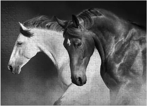 Vista 7 de MyPuzzle Horses Run Gallop in The Desert - Rompecabezas prémium de 100 piezas para adultos