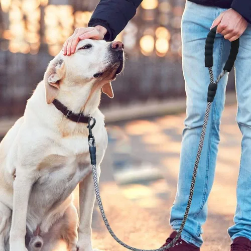 Vista 7 de MayPaw Correa de perro de cuerda resistente, 3/4/5/6/7/8/10/12/15/20 pies, correa de nailon para mascotas, mango acolchado suave, correas gruesas