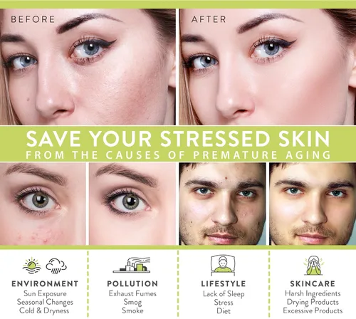 Vista 4 de LILY SADO TEA+C Green Tea Water Rush Gel Hidratante - Loción hidratante ligera antiarrugas con vitamina C - Hidrata y suaviza para una piel