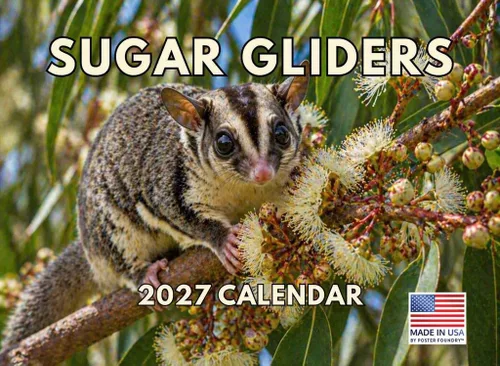 Vista 35 de Calendario mensual de pared 2025 de lagarto, 12 meses, fabricado en Estados Unidos Lizards