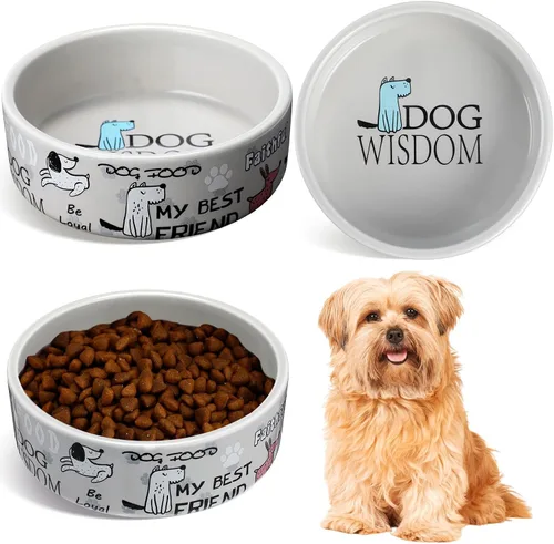 Vista 8 de Maxcheck - 2 cuencos de cerámica para perros pequeños, 5 pulgadas, color Rosa