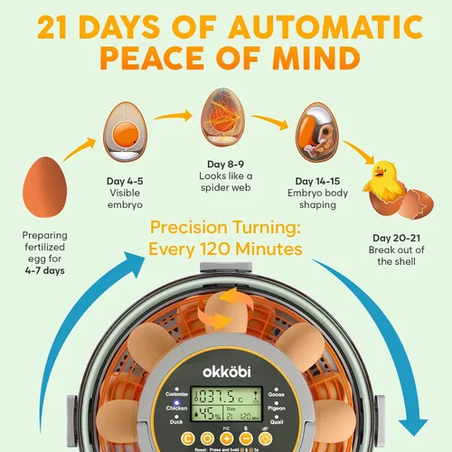 Vista 8 de Incubadora de huevos de capacidad 12-20 con torneado automático y vela