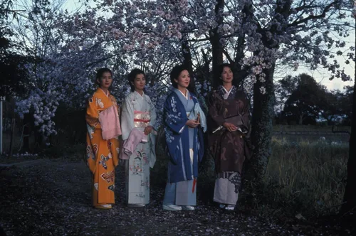 Vista 3 de The Makioka Sisters (The Criterion Collection) Blu-ray