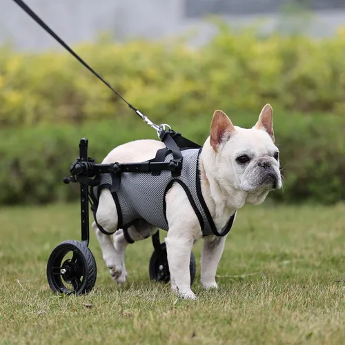 Vista 7 de Silla de ruedas para perros para patas traseras, carrito de ruedas ligero para perros con patas traseras para discapacitados, ajustable