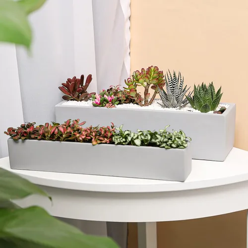 Vista 5 de Maceta rectangular de cemento gris de 15 pulgadas para suculentas, caja de alféizar de ventana