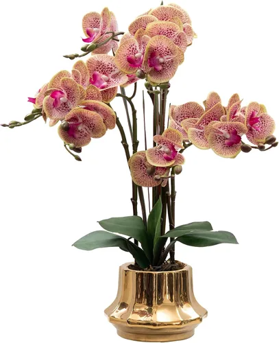 Vista 19 de CXGS Planta de orquídeas artificiales de 20.9 pulgadas, orquídeas artificiales de tacto real en jarrón de cerámica, arreglo floral de Phalaenopsis