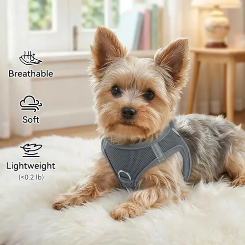 Vista 27 de Joytale Arnés para Perros Pequeños, Chaleco de Malla Transpirable Step-in, Arneses Acolchados Suaves Reflectantes para Gatos y Perros Cachorros