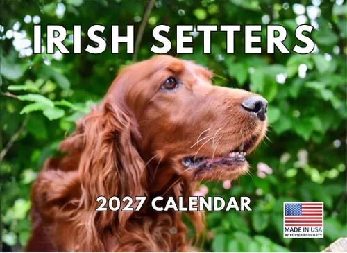 Vista 127 de Calendario mensual de pared Airedale Terrier Dog 2027 rojo (Airedale Terrier)