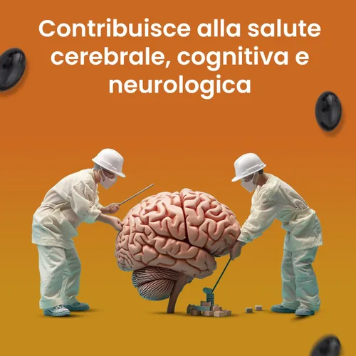 Vista 4 de VED Co Enzyme Q10 Apoya la salud del corazón y los músculos Promueve la energía celular Ubiquinona fermentada naturalmente 500 mg 90