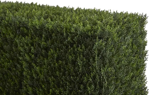 Vista 5 de Nearly Natural Seto decorativo de cedro artificial de 20 pulgadas (interior/exterior)