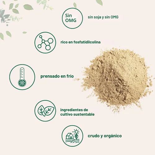 Vista 4 de Micro Ingredients Polvo de Lecitina de Girasol Orgánico, 1 Libra, Cultivado de Manera Sostenible, Prensado en Frío, Rico en Fosfatidilcolina
