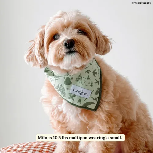 Vista 2 de Lucy & Co. Bandana para perro Camp Out